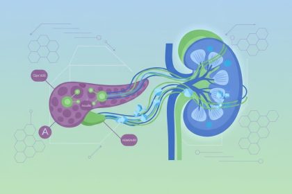Diabetes and the Kidney