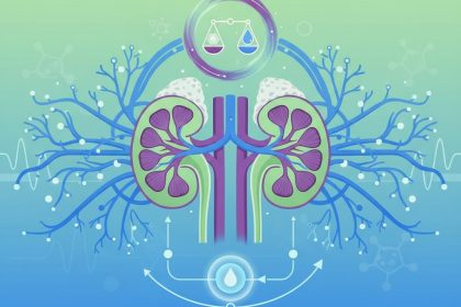 The Physiology of Balance Controlled by the Kidneys