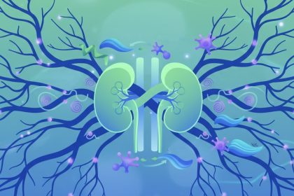 The Renin-Angiotensin System